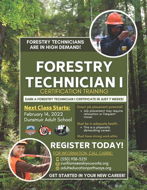 forest technician 1 denr duties and responsibilities